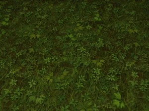 ground grass tile CG Textures