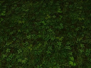 ground grass tile CG Textures