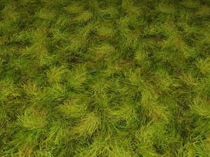 ground grass tile 7 texture CG 纹理