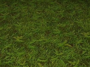 ground grass tile 7 texture CG 纹理