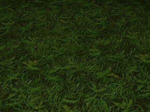 ground grass tile 7 texture CG 纹理