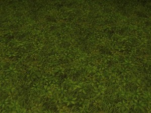 ground grass tile 7 texture CG 纹理