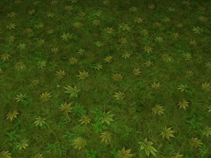 ground grass tile 7 texture CG 纹理