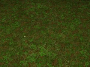 trama delle piastrelle di erba macinata 10 CG Textures
