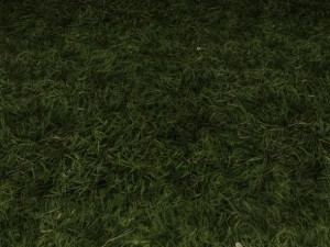 ground grass tile 10 texture Texturas CG