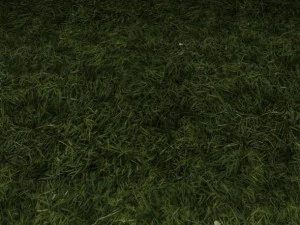 ground grass tile 10 texture CG Textures