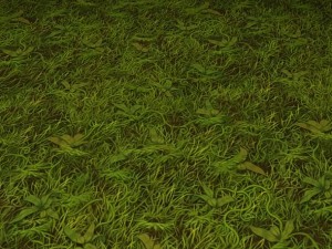 ground grass tile 10 texture Texturas CG