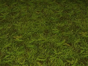 ground grass tile 10 texture CG Textures