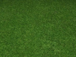 ground grass tile 10 texture Texturas CG