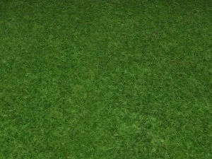 ground grass tile 10 texture CG Textures