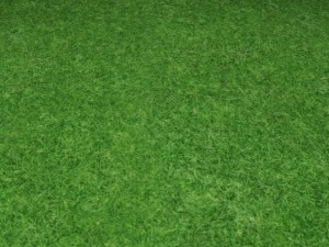 ground grass tile 10 texture Texturas CG