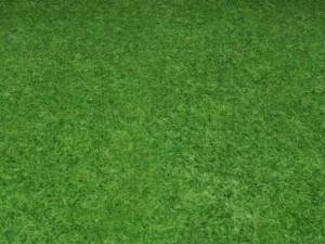 ground grass tile 10 texture CG Textures