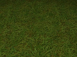 ground grass tile 10 texture Texturas CG