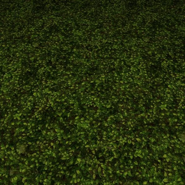 2 round grass tile 10 textures CG Textures .c4d .max .obj .3ds .fbx .stl .blend