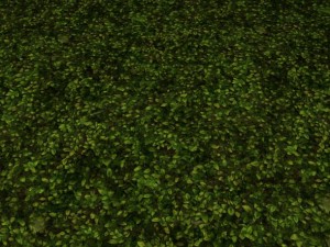 2 round grass tile 10 textures CG Texturen