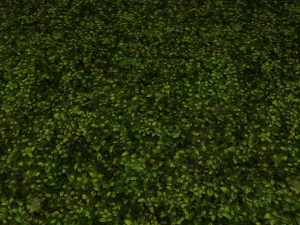 2 गोल घास टाइल 10 बनावट CG टेक्स्चर्स