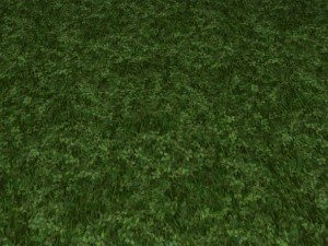 2 round grass tile 10 textures CG 纹理