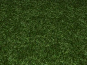2 round grass tile 10 textures CG Textures