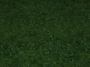 2 round grass tile 10 textures CG 纹理