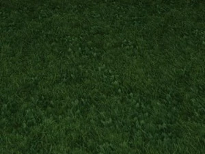 2 round grass tile 10 textures CG Textures