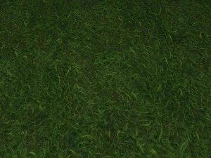 2 round grass tile 10 textures CG Textures