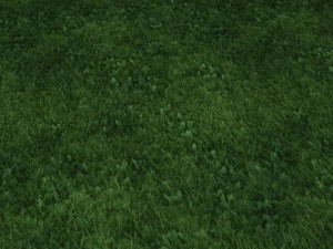 2 round grass tile 10 textures CG 纹理