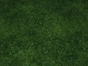 2 round grass tile 10 textures CG Textures