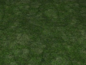 2 round grass tile 10 textures CG 纹理