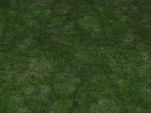 2 round grass tile 10 textures CG Textures