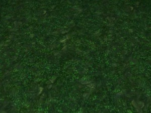 2 round grass tile 10 textures CG Textures