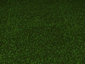 2 round grass tile 10 textures CG 纹理