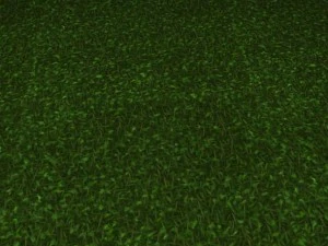 2 round grass tile 10 textures CG Textures
