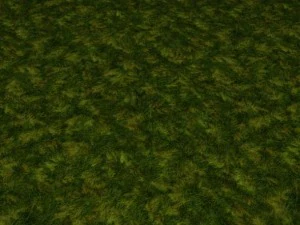 2 round grass tile 10 textures CG Textures