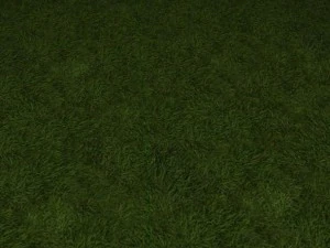 2 round grass tile 10 textures CG Textures