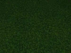 ground grass tile 7 textur4 CG テクスチャ
