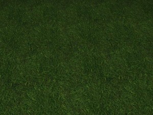 ground grass tile 7 textur4 CG テクスチャ
