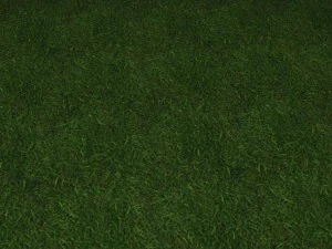 ground grass tile 7 textur4 CG Textures