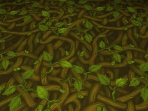 ground leaf 01 CG 텍스쳐