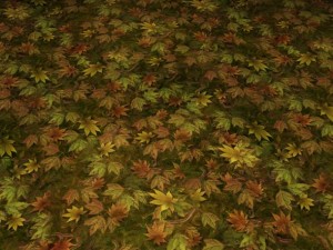 ground leaf 01 CG 텍스쳐