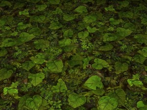 ground leaf 01 CG 텍스쳐