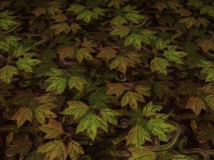 ground leaf 02 CG テクスチャ