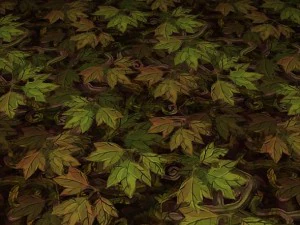 ground leaf 02 CG Textures