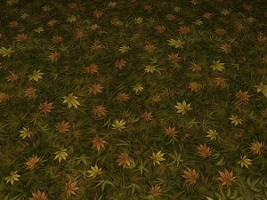 ground leaf 02 CG テクスチャ