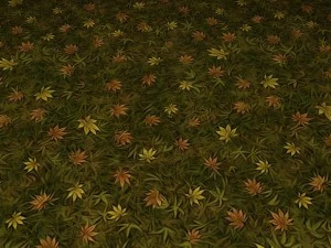 ground leaf 02 CG Textures