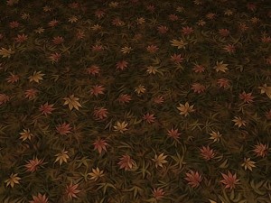 ground leaf 02 CG テクスチャ