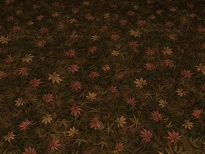 ground leaf 02 CG Textures
