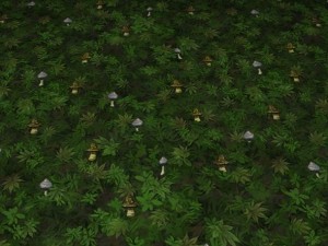 ground leaf 02 CG テクスチャ