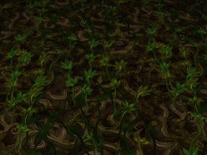 ground leaf 02 CG テクスチャ