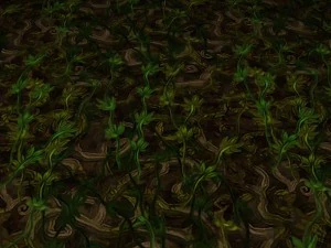ground leaf 02 CG Textures