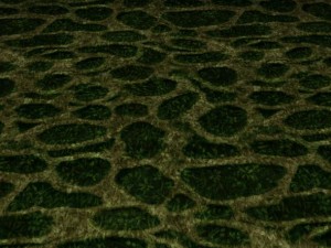 ground leaf 03 CG Textures